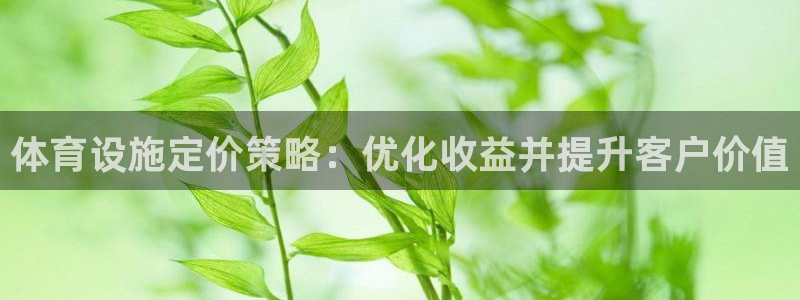 意昂体育3联系电话：体育设施定价策略：优化收益并提升