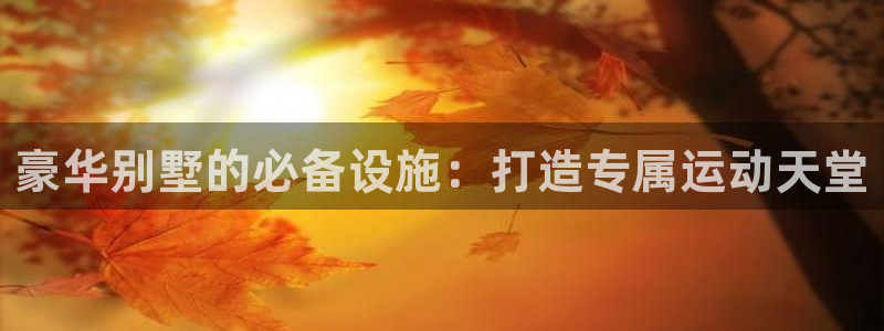 意昂3娱乐首页网站大全：豪华别墅的必备设施：打造专属