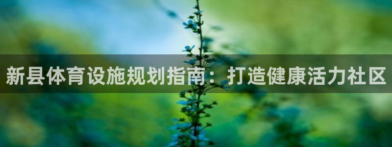 意昂体育3平台：新县体育设施规划指南：打造健康活力社