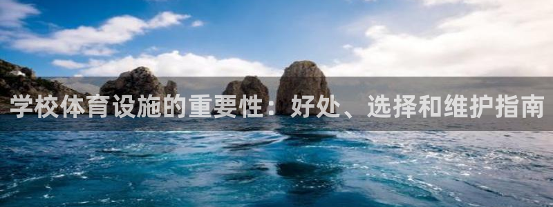 意昂3新能源：学校体育设施的重要性：好处、选择和维护