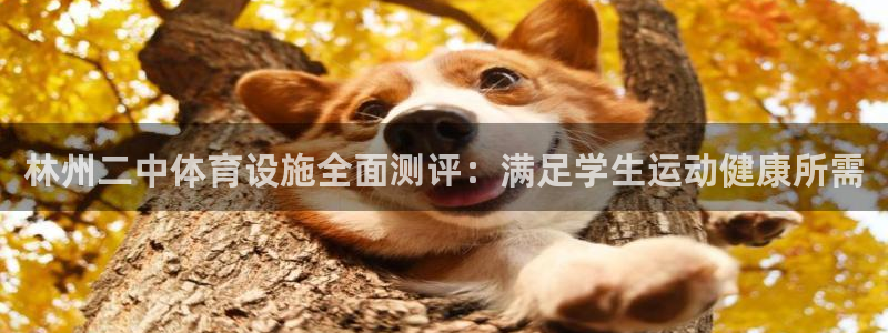 意昂3娱乐是那个系列的台子：林州二中体育设施全面测评