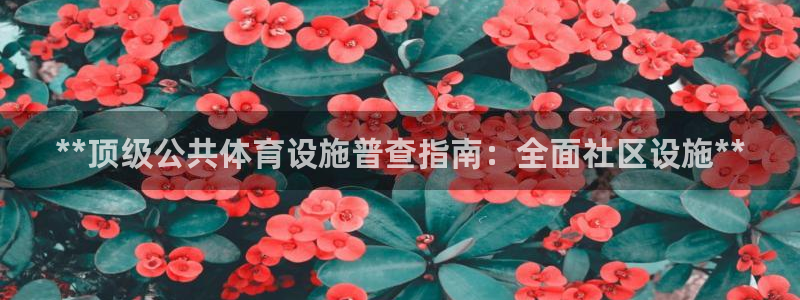 意昂体育3是干嘛的公司：**顶级公共体育设施普查指南