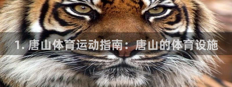 意昂体育3联系电话：1. 唐山体育运动指南：唐山的体