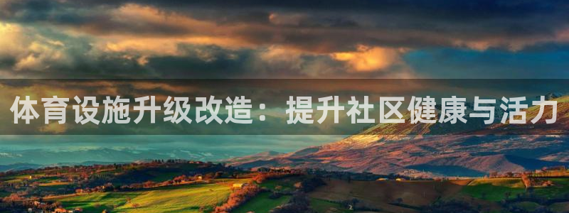 意昂平台体育：体育设施升级改造：提升社区健康与活力