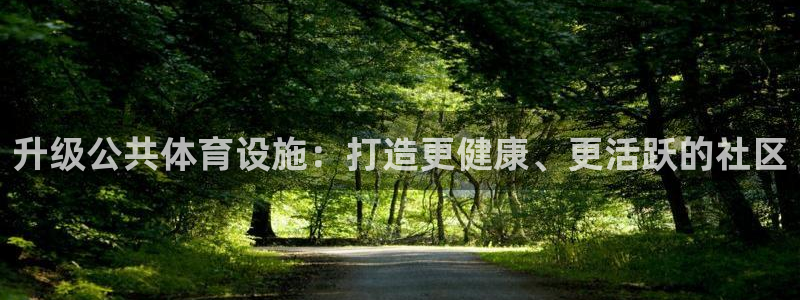 德国意昂3集团：升级公共体育设施：打造更健康、更活跃
