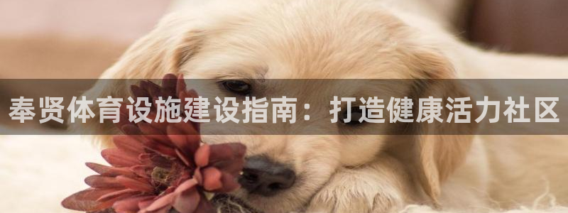 意昂体育3招商电话是多少啊：奉贤体育设施建设指南：打