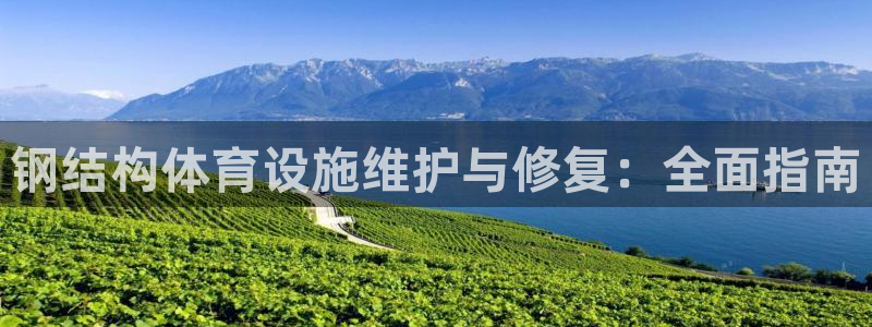 意昂体育3招商电话地址：钢结构体育设施维护与修复：全