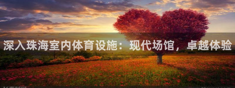 意昂3官方：深入珠海室内体育设施：现代场馆，卓越体验
