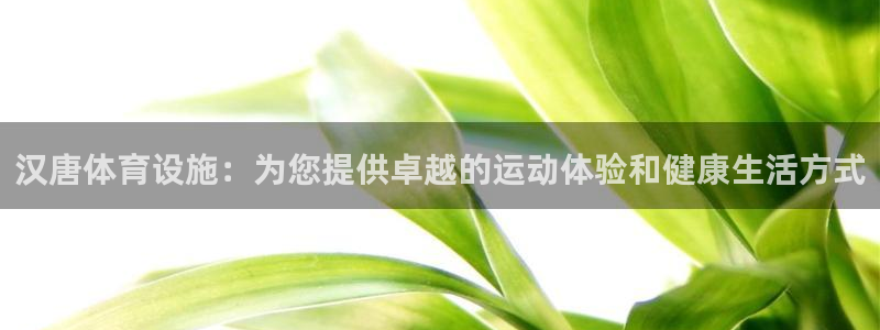 意昂体育3平台注册要钱吗安全吗：汉唐体育设施：为您提