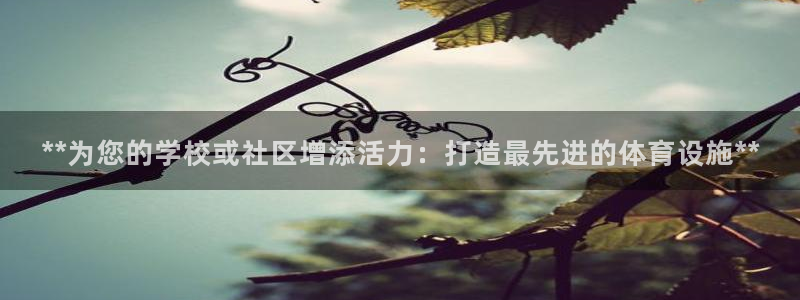意昂体育3娱乐：**为您的学校或社区增添活力：打造最