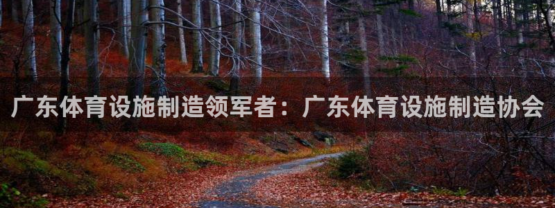意昂体育3官方客服电话：广东体育设施制造领军者：广东