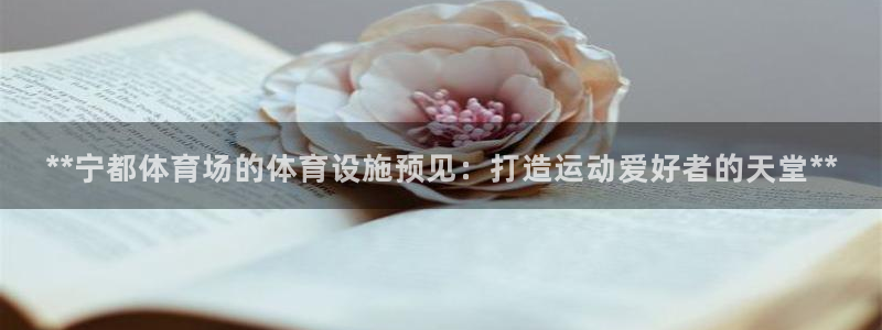 意昂3娱乐首页网站大全：**宁都体育场的体育设施预见