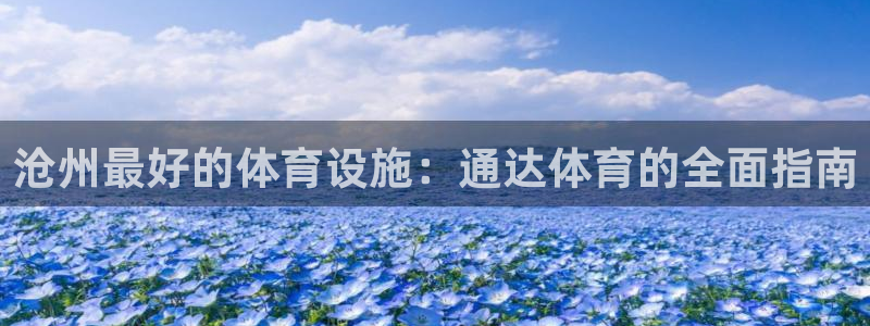 德国意昂3集团：沧州最好的体育设施：通达体育的全面指