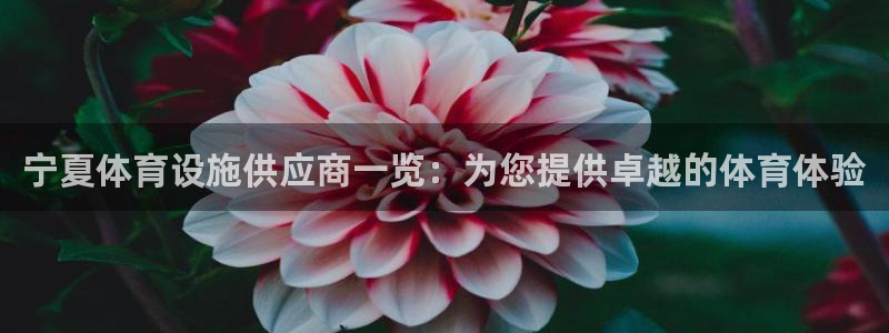 意昂3娱乐下载：宁夏体育设施供应商一览：为您提供卓越