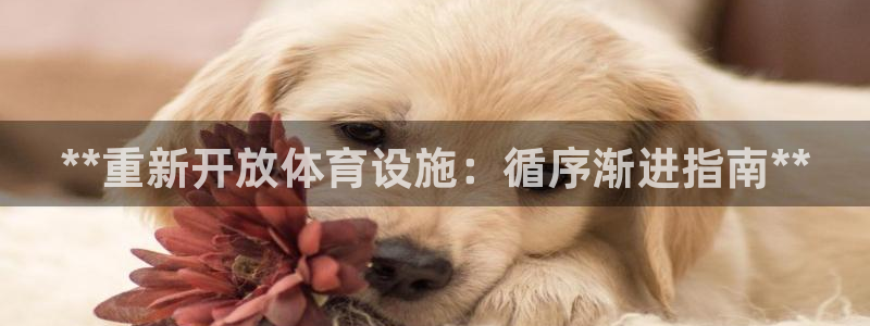 意昂体育3招商电话地址：**重新开放体育设施：循序渐