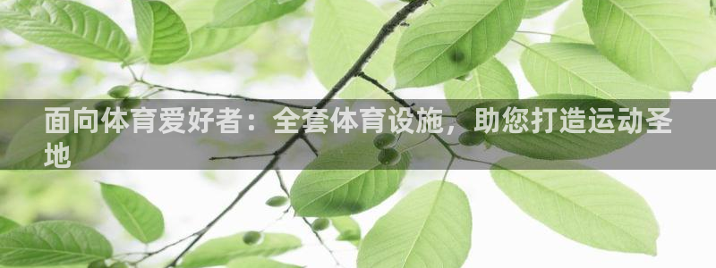意昂体育3平台是正规平台吗知乎：面向体育爱好者：全套
