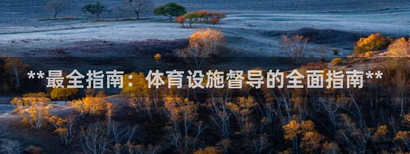 意昂3官网：**最全指南：体育设施督导的全面指南**