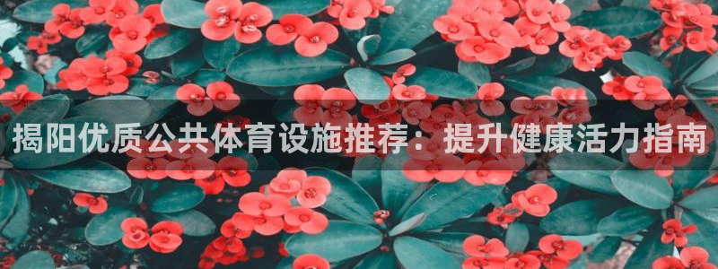 意昂体育3娱乐：揭阳优质公共体育设施推荐：提升健康活