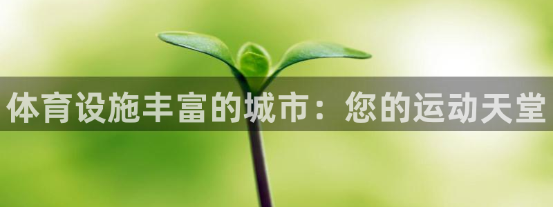 意昂体育3招商：体育设施丰富的城市：您的运动天堂