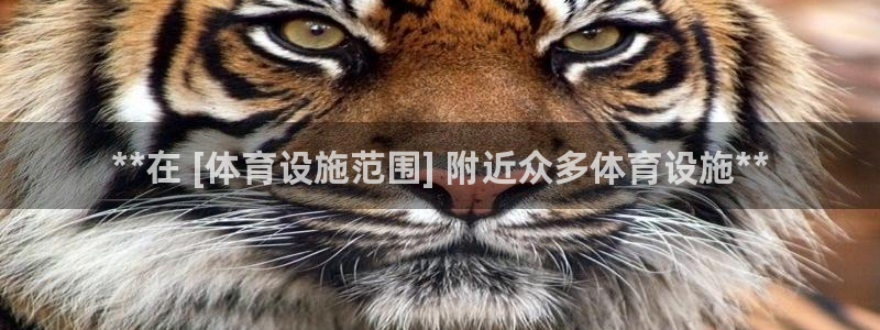 意昂3集团官网首页网址：**在 [体育设施范围] 附