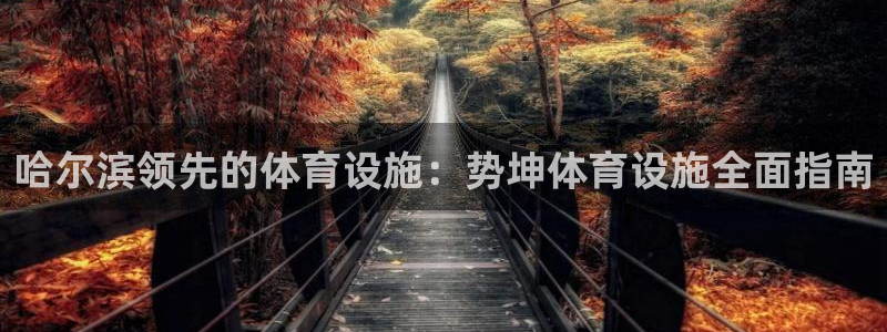 意昂3娱乐平台：哈尔滨领先的体育设施：势坤体育设施全