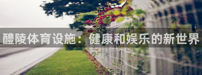 意昂体育3平台APP：醴陵体育设施：健康和娱乐的新世