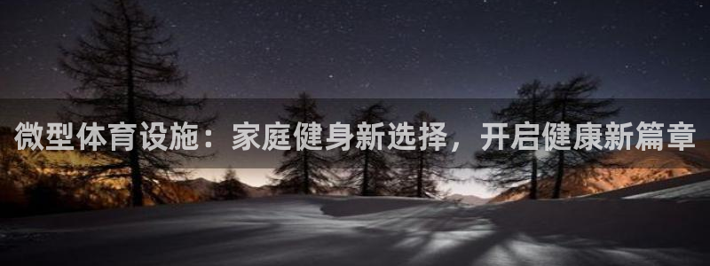 意昂平台体育：微型体育设施：家庭健身新选择，开启健康