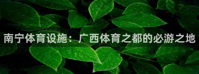 意昂3集团官网网址：南宁体育设施：广西体育之都的必游