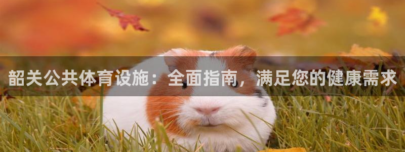 德国意昂3集团：韶关公共体育设施：全面指南，满足您的
