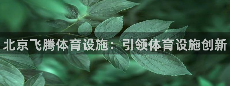 意昂体育3招商电话是多少号码：北京飞腾体育设施：引领