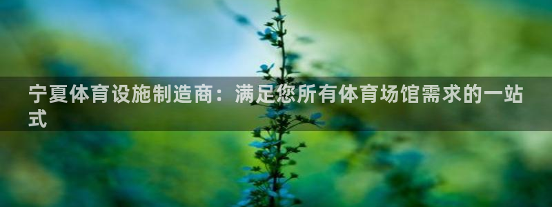 意昂体育3平台注册要钱吗：宁夏体育设施制造商：满足您