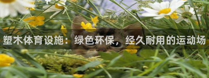 意昂体育3平台假的吗是真的吗吗：塑木体育设施：绿色环