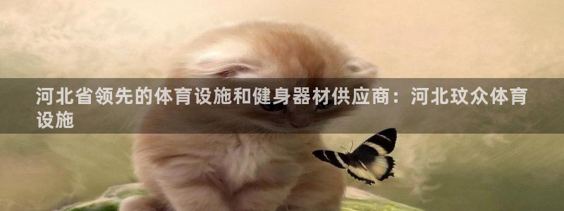 意昂3官方：河北省领先的体育设施和健身器材供应商：河