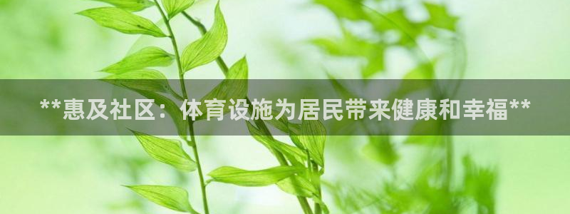 意昂体育3平台注册流程视频：**惠及社区：体育设施为