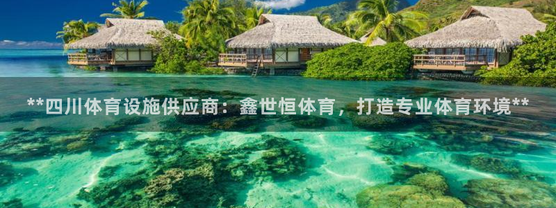 意昂3娱乐：**四川体育设施供应商：鑫世恒体育，打造