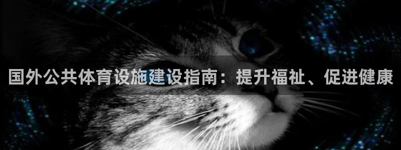 意昂体育3招商电话是多少号码：国外公共体育设施建设指