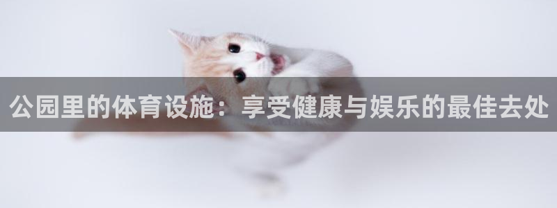 意昂3娱乐代理怎么样：公园里的体育设施：享受健康与娱