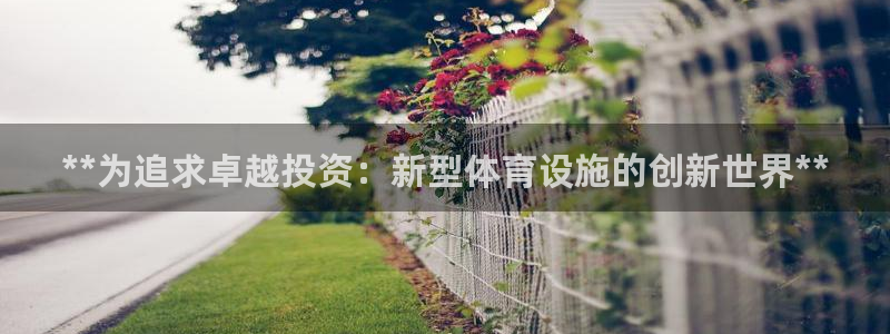 意昂3开户：**为追求卓越投资：新型体育设施的创新世