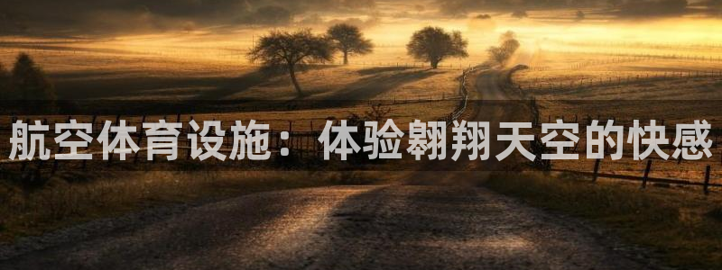 意昂3新能源