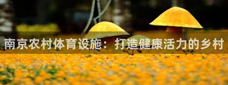 意昂体育3娱乐：南京农村体育设施：打造健康活力的乡村