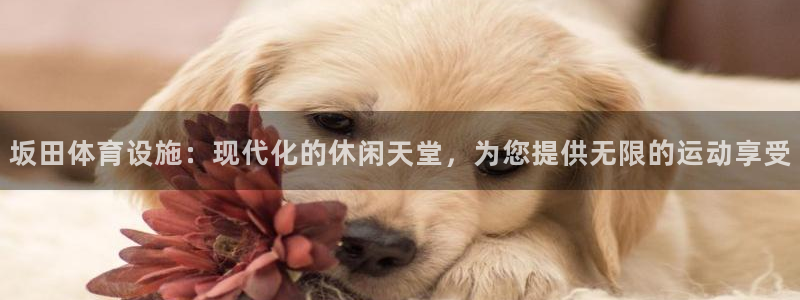 意昂3集团官网首页：坂田体育设施：现代化的休闲天堂，