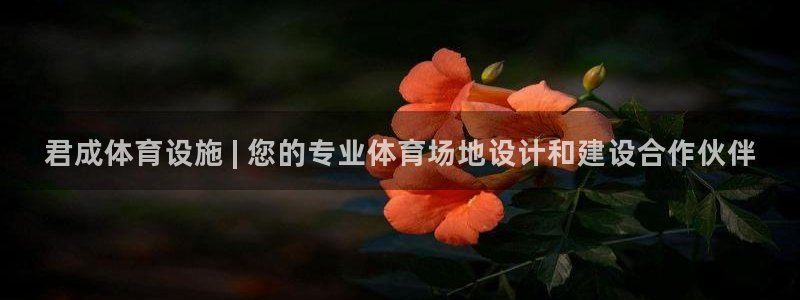 意昂体育3招商电话地址：君成体育设施 | 您的专业体