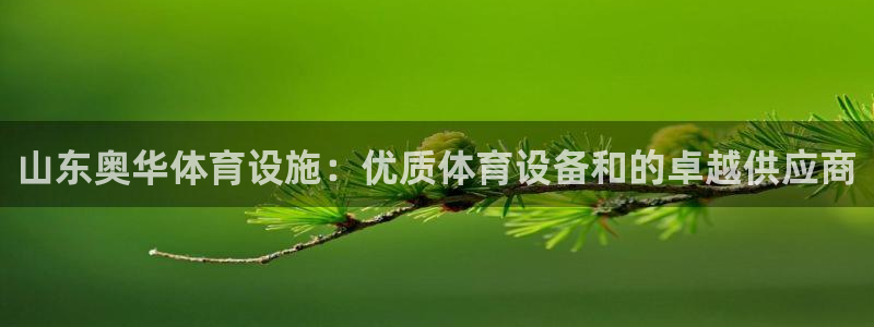 意昂体育3招商电话地址：山东奥华体育设施：优质体育设