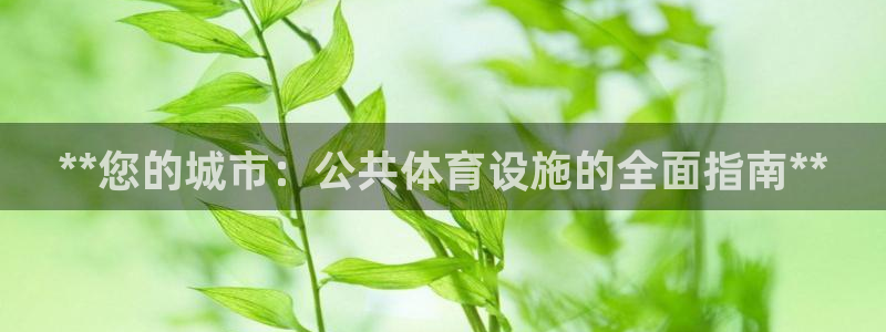意昂3集团简介：**您的城市：公共体育设施的全面指南