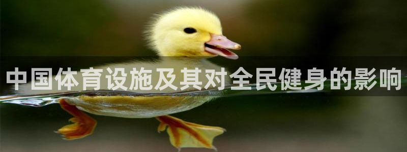 意昂3娱乐首页官网下载：中国体育设施及其对全民健身的