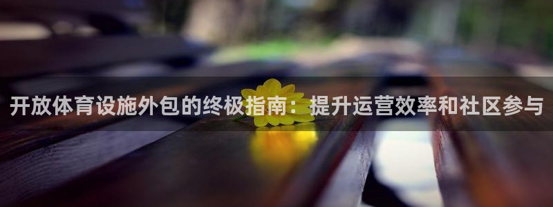意昂3娱乐平台：开放体育设施外包的终极指南：提升运营