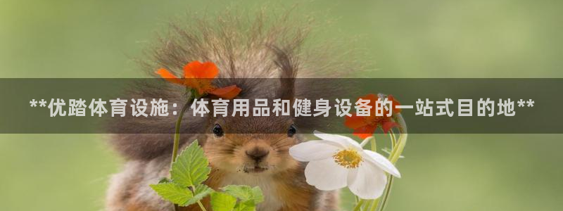 意昂3科技：**优踏体育设施：体育用品和健身设备的一