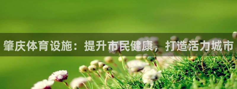 意昂体育3平台是正规平台吗知乎：肇庆体育设施：提升市