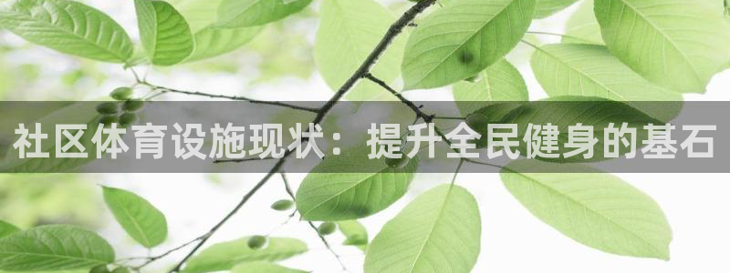 意昂体育3招商：社区体育设施现状：提升全民健身的基石