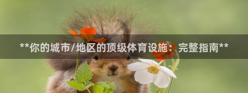 意昂体育3平台APP：**你的城市/地区的顶级体育设